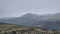 Rostro_20241005_67013e6acff68.jpg
