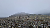 Rostro_20241005_67013e6f2ecd0.jpg