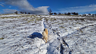 Rostro_20241013_670be0b14693e.jpg