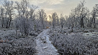 Rostro_20241110_6730aeb084a4d.jpg