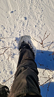 Rostro_20241124_67425ebd1c116.jpg