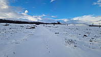 Rostro_20241130_674b3e2ced778.jpg