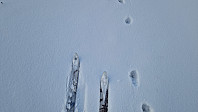 Rostro_20241130_674b3e2f7a115.jpg