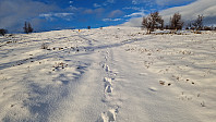 Rostro_20241130_674b3e3206230.jpg