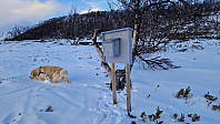 Rostro_20241130_674b3e379a3f4.jpg