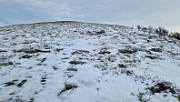 Rostro_20241201_674c817fc4ca2.jpg