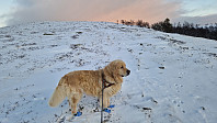 Rostro_20241208_6755e528c9030.jpg