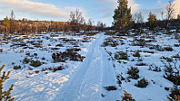 Rostro_20241227_676eb432ab496.jpg