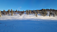 Rostro_20250111_6782768b595f2.jpg