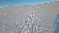 Rostro_20250214_67afac792080c.jpg