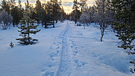 Rostro_20250214_67afb11dce2ff.jpg