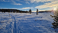Rostro_20250214_67afb11f3b32a.jpg