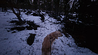 Rostro_20250307_67cb48c614732.jpg