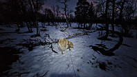 Rostro_20250307_67cb48c7530f3.jpg