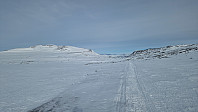 Rostro_20250308_67cc5db8a2ad4.jpg
