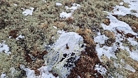 Rostro_20250308_67cc5dbdcb46d.jpg