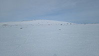 Rostro_20250308_67cc5dc1ba925.jpg