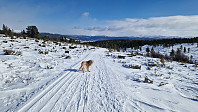 Rostro_20250316_67d6d083c35da.jpg