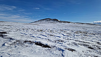 Rostro_20250322_67deebe3a3193.jpg