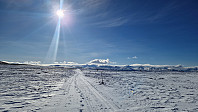 Rostro_20250322_67deebe51cef3.jpg