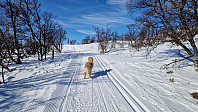Rostro_20250322_67deebe6a1ffd.jpg