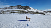 Rostro_20250322_67deebe86b662.jpg
