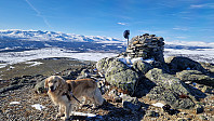 Rostro_20250322_67deebea01ef0.jpg