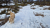 Rostro_20250405_67f17881b0498.jpg