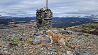Rostro_20250405_67f17883be4e9.jpg