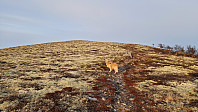 Rostro_20250407_67f422079d502.jpg