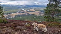 Rostro_20250417_6800e6654491c.jpg