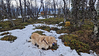 Rostro_20250417_6800e669d07bb.jpg