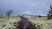 Rostro_20250417_6800e93fd90cb.jpg