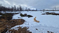Rostro_20250419_6803b37271db3.jpg