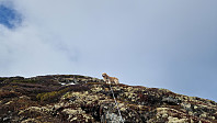 Rostro_20250419_6803b3797e892.jpg