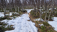 Rostro_20250419_6803b6869775c.jpg