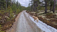 Rostro_20250420_6804e67c01b49.jpg