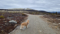 Rostro_20250420_6804e67db8923.jpg