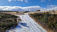 Rostro_20250504_681783b2c3662.jpg