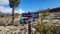 Rostro_20250504_681783b5d67e0.jpg
