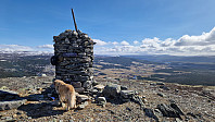 Rostro_20250504_681783ba9ee59.jpg