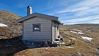 Rostro_20250517_682880569bc18.jpg