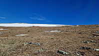 Rostro_20250517_6828805c63bf4.jpg