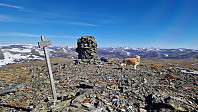 Rostro_20250517_6828805f3f709.jpg