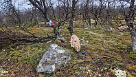Rostro_20250525_6832fb6ac580b.jpg
