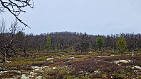 Rostro_20250525_6832fb6c9a612.jpg