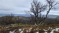 Rostro_20250525_6832fb6f8338e.jpg