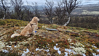 Rostro_20250525_6832fb711a0f5.jpg