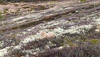 Rostro_20250525_6832fb72bf903.jpg