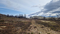 Rostro_20250531_683ae27912a1e.jpg